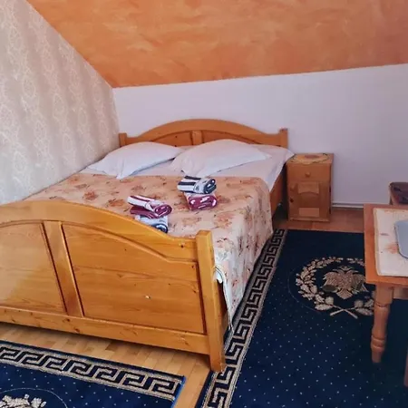 Pensiunea Miruna Guest house