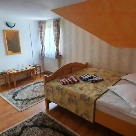 Guest house Pensiunea Miruna