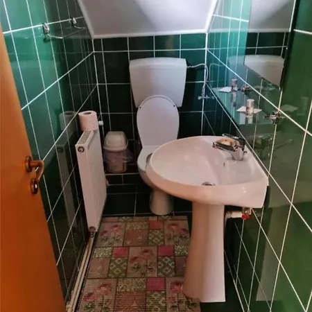 Pensiunea Miruna Guest house Bran (Brasov)