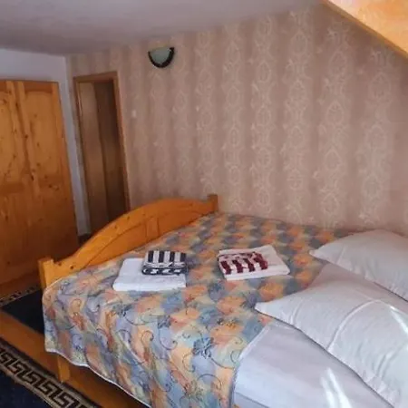 Pensiunea Miruna Guest house