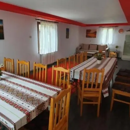 Pensiunea Miruna Guest house