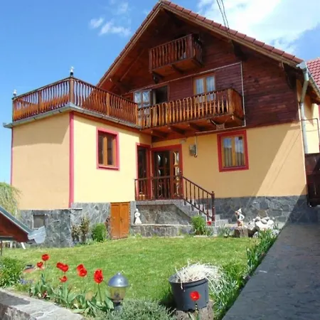 Guest house Pensiunea Miruna Bran (Brasov)